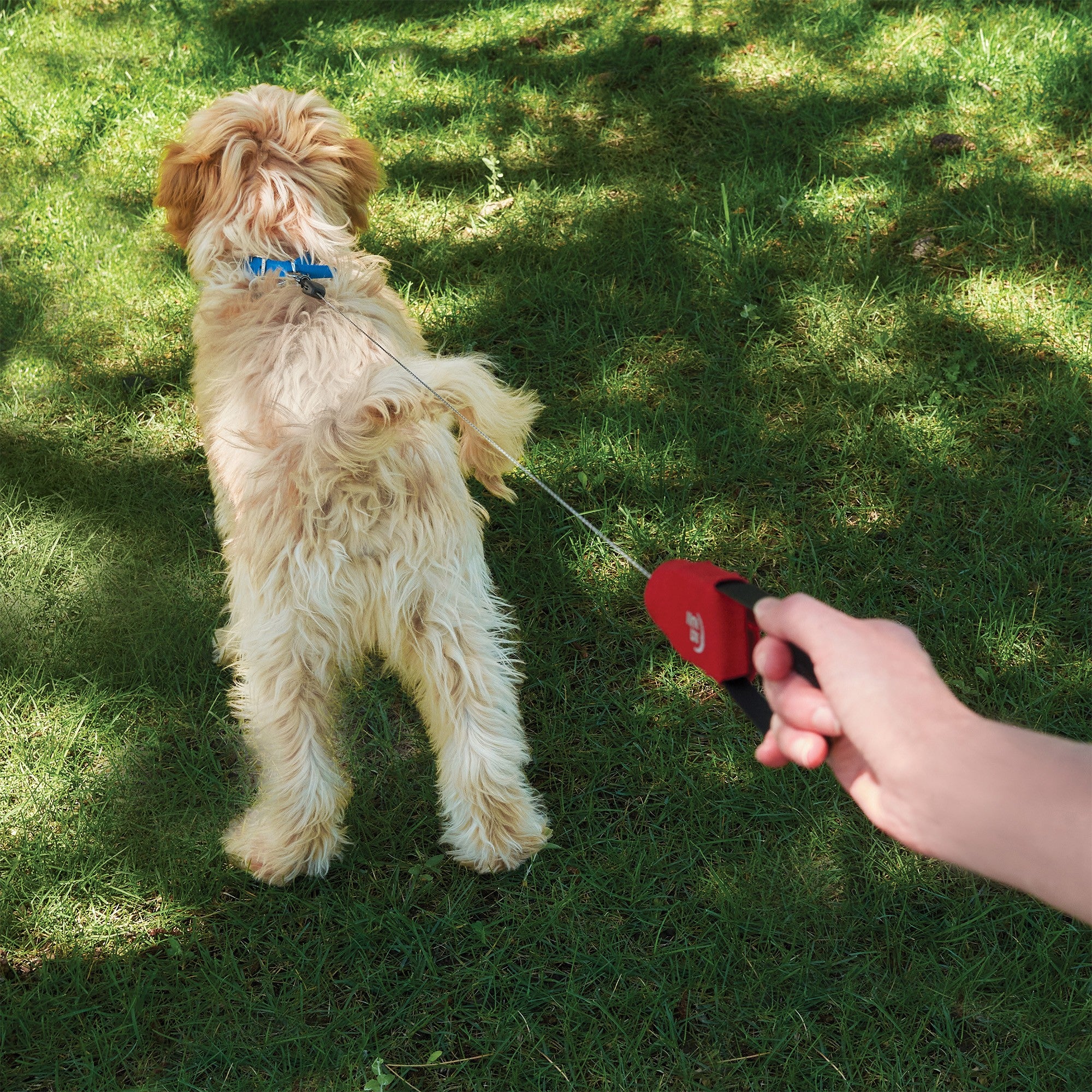 Nite Ize RadDog Retractable Pocket Leash - Small - Red - 15-12723
