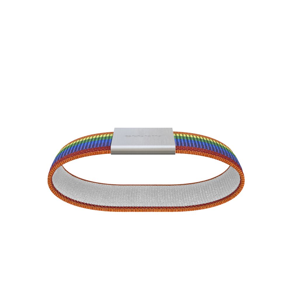 Secrid Moneyband Rainbow