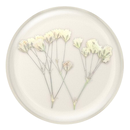 PopSockets PopGrip Adhesive - Pressed Flower Baby's Breath