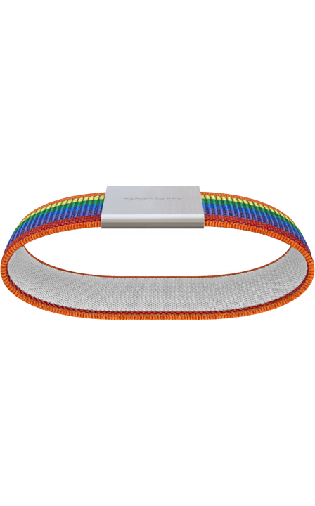 Secrid Moneyband Rainbow